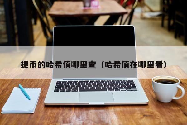 提币的哈希值哪里查（哈希值在哪里看）